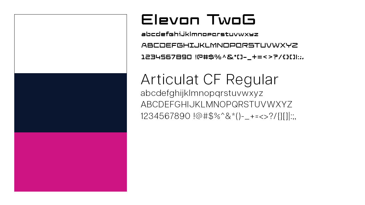 Case Traveler Branding Color und Typo